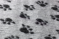 Non-Slip - Grey Paws - Vet Bedding - Dog Bed